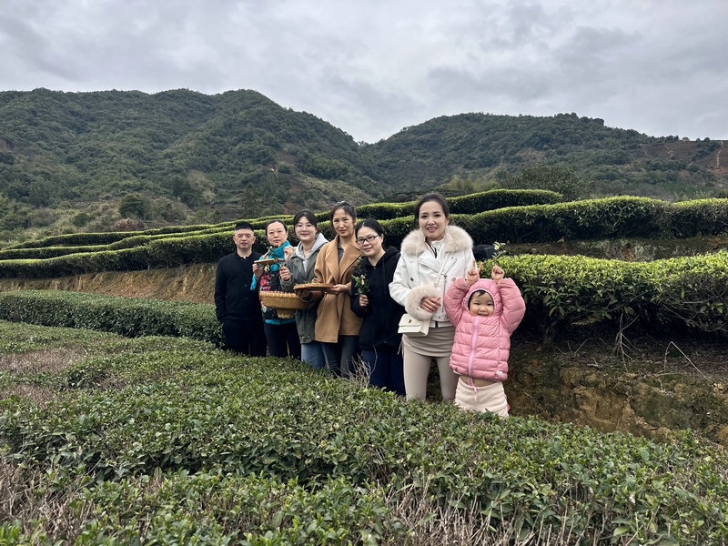 全国茶艺师培训机构排名前十_全国茶艺师培训机构哪家好