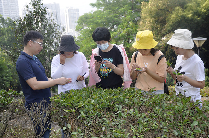 厦门茶艺师培训考试答案