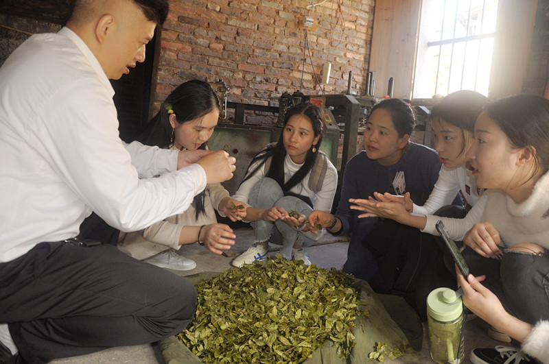 成都茶艺师培训