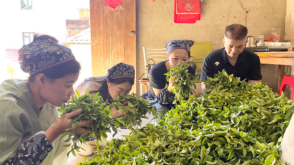 全国十大茶艺师培训机构