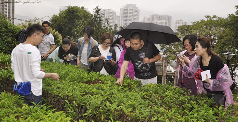 天晟茶艺培训学校是否有茶艺表演与茶席设计道具?
