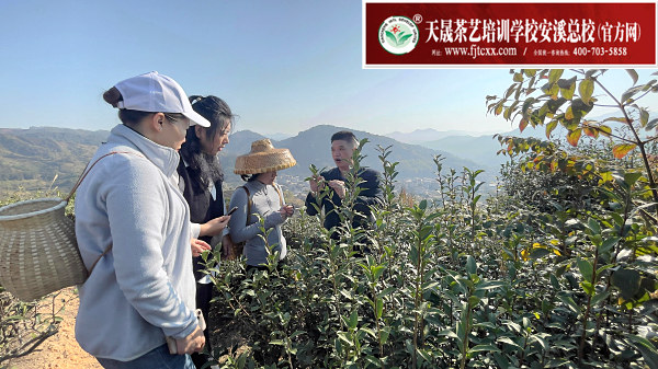 北京学茶道最好的地方