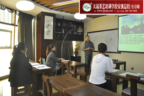 茶艺师培训 零基础入门到精通