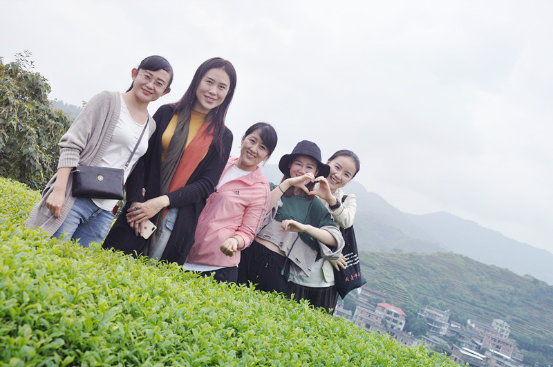 北京茶道培训哪家好?