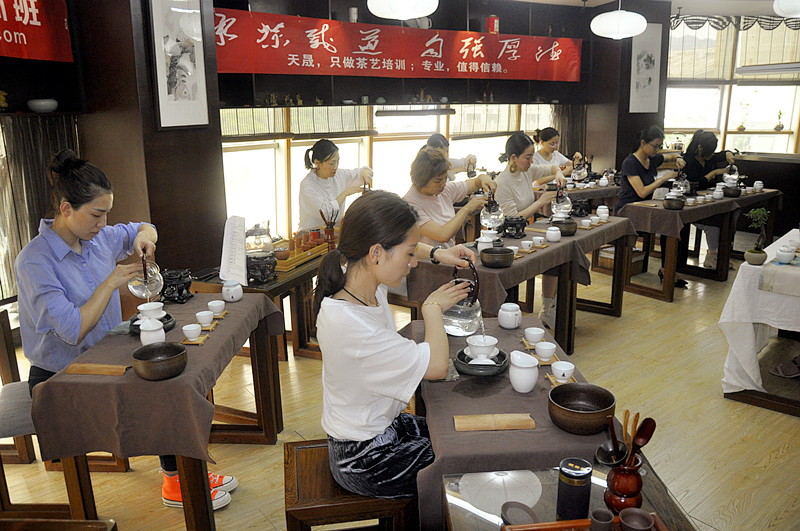 茶艺师培训:从零开始到证书到手培训全程