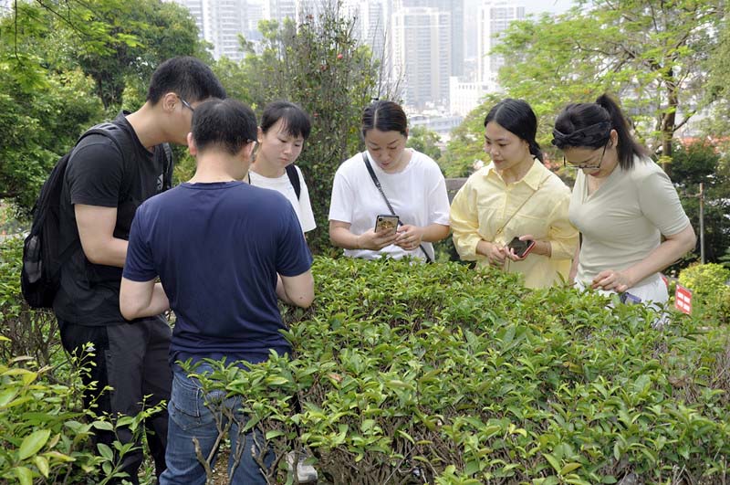 天晟茶艺培训学校茶艺师培训