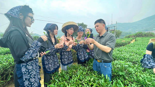 厦门茶艺培训评茶师培训班