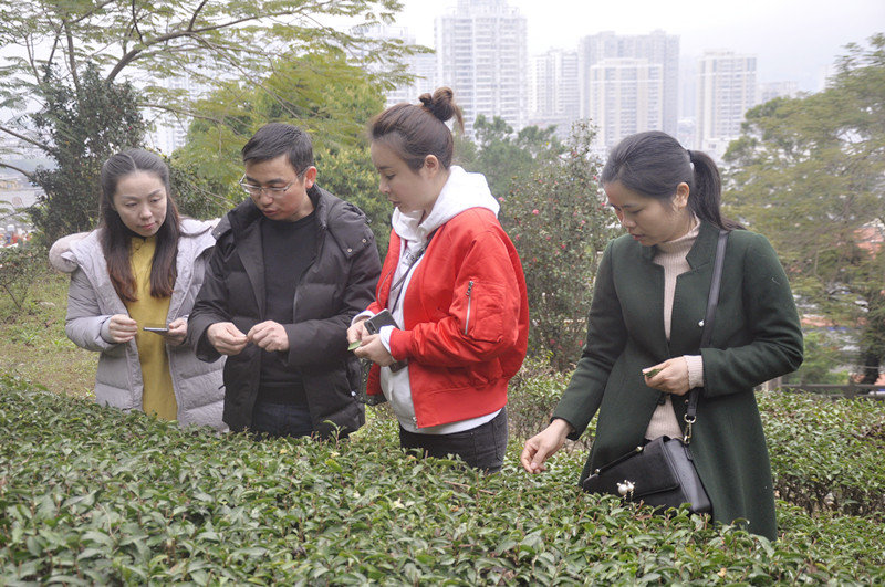天晟茶艺培训学校是否有茶艺表演和茶席设计课程?