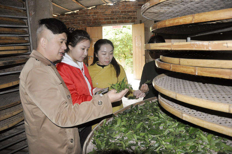 天晟茶艺培训学校是否有茶叶店经营管理课程?