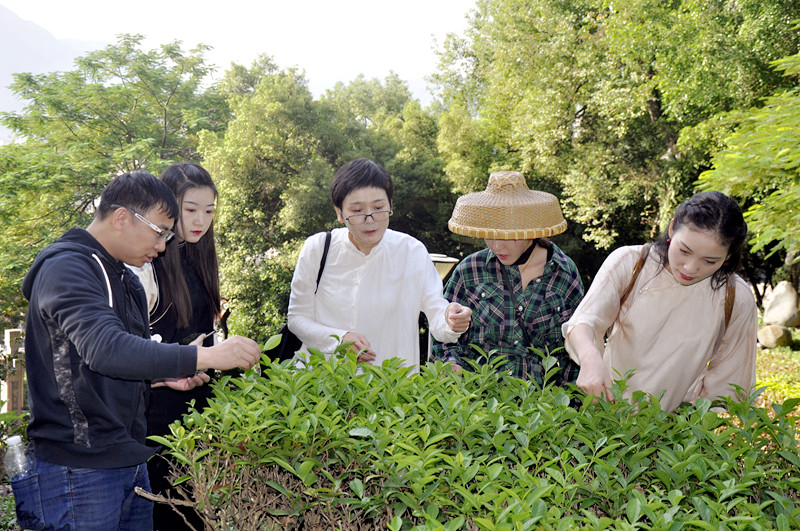 茶艺师培训 泉州市安溪天晟职业培训学校